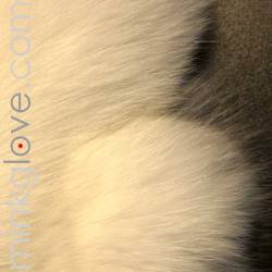  White Fox Massage Glove/Mitten - Double Sided Fur 